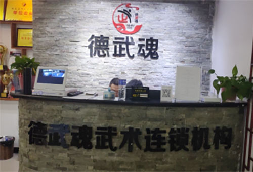 石家庄市德武魂武术搏击馆