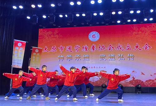 太原市通背缠拳协会